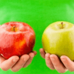 Washington Health Alliance “Community Checkup” Website a Vital Sign of the Times