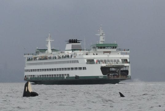 ‘Whale Alert’ System for Washington State Ferries