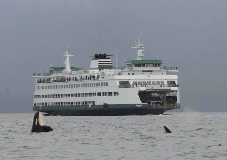 ‘Whale Alert’ System for Washington State Ferries